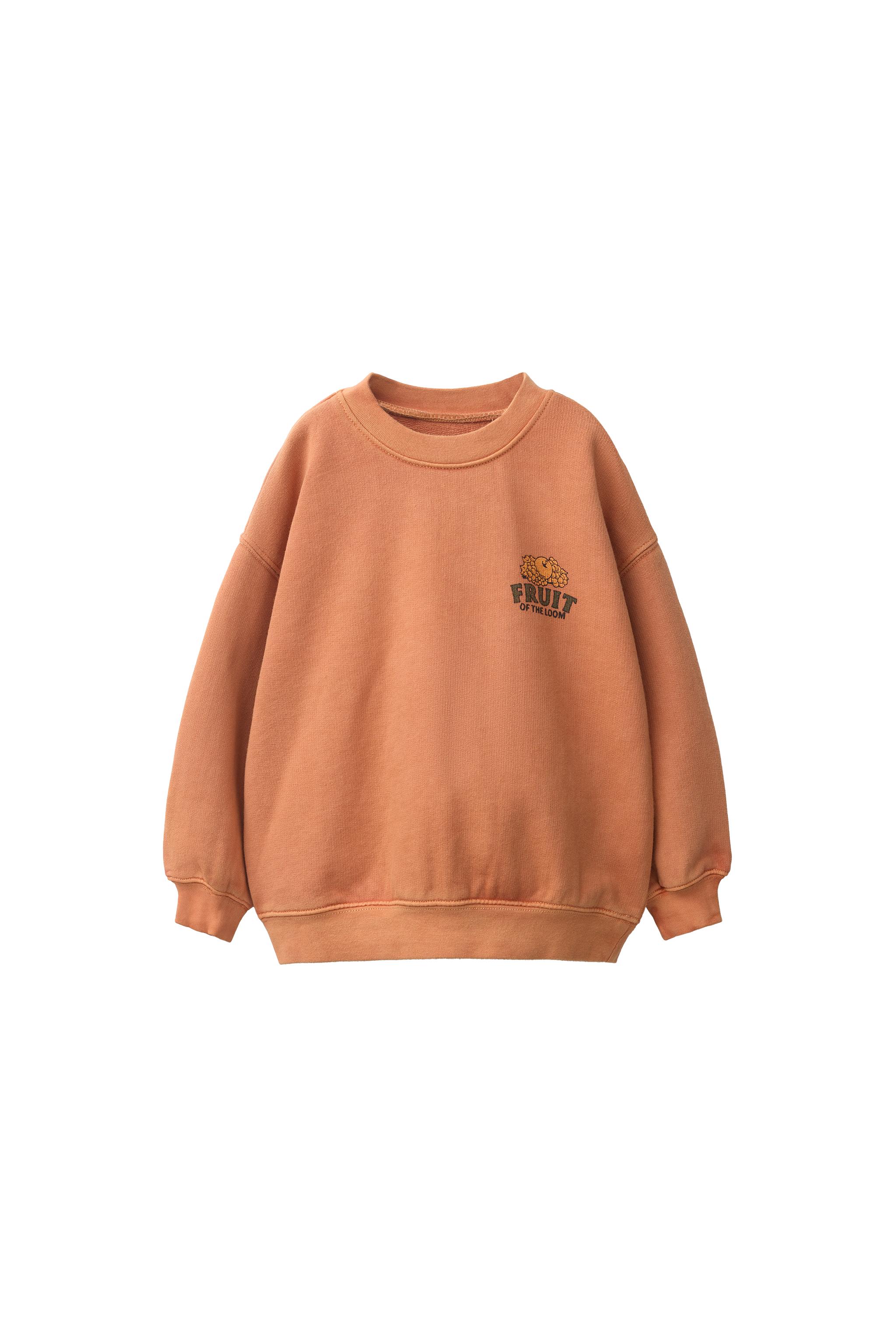 Свитшот с принтом Fruit of the Loom™ — ZARA