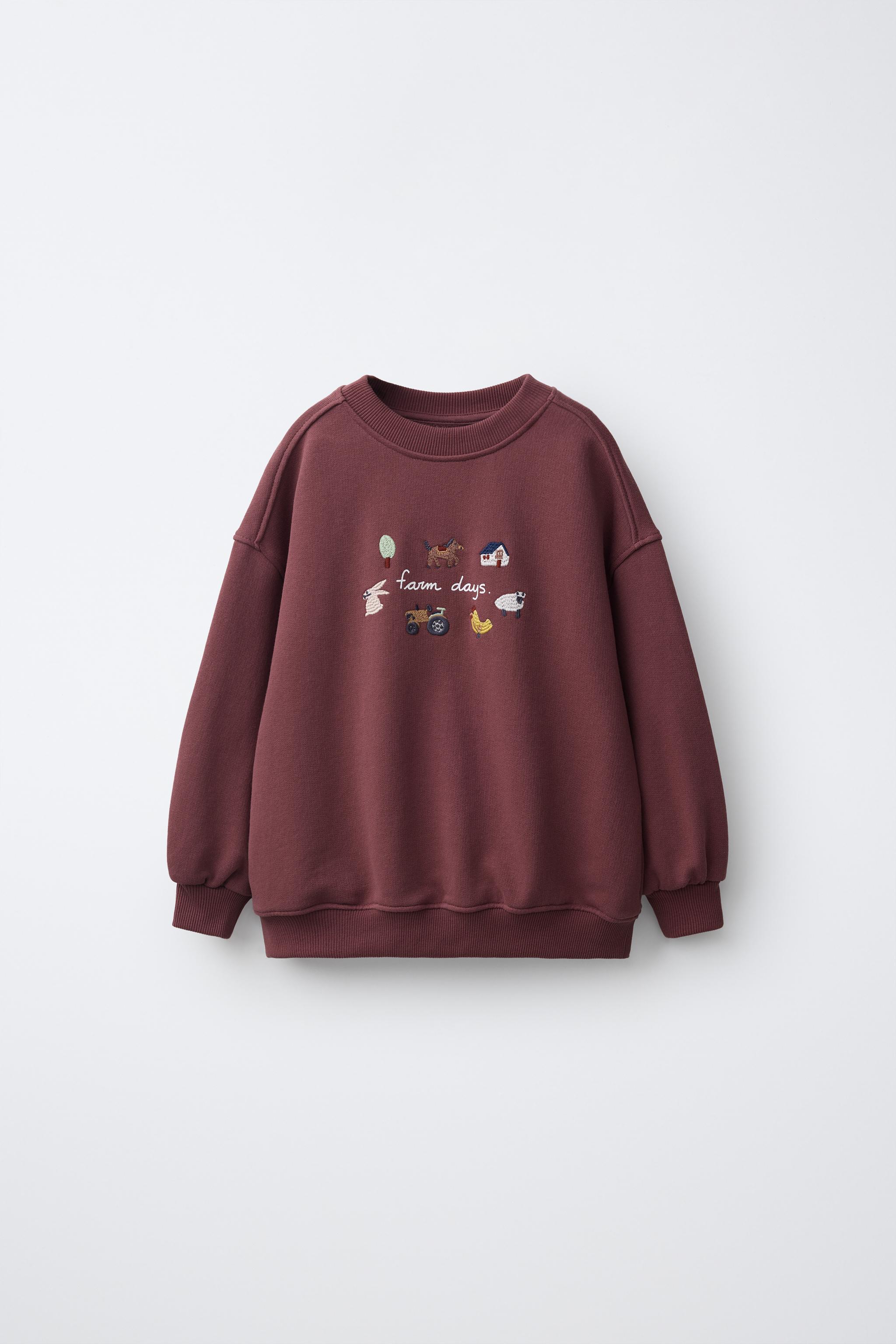 ТОЛСТОВКА С ВЫШИВКОЙ «ФЕРМА» — ZARA
