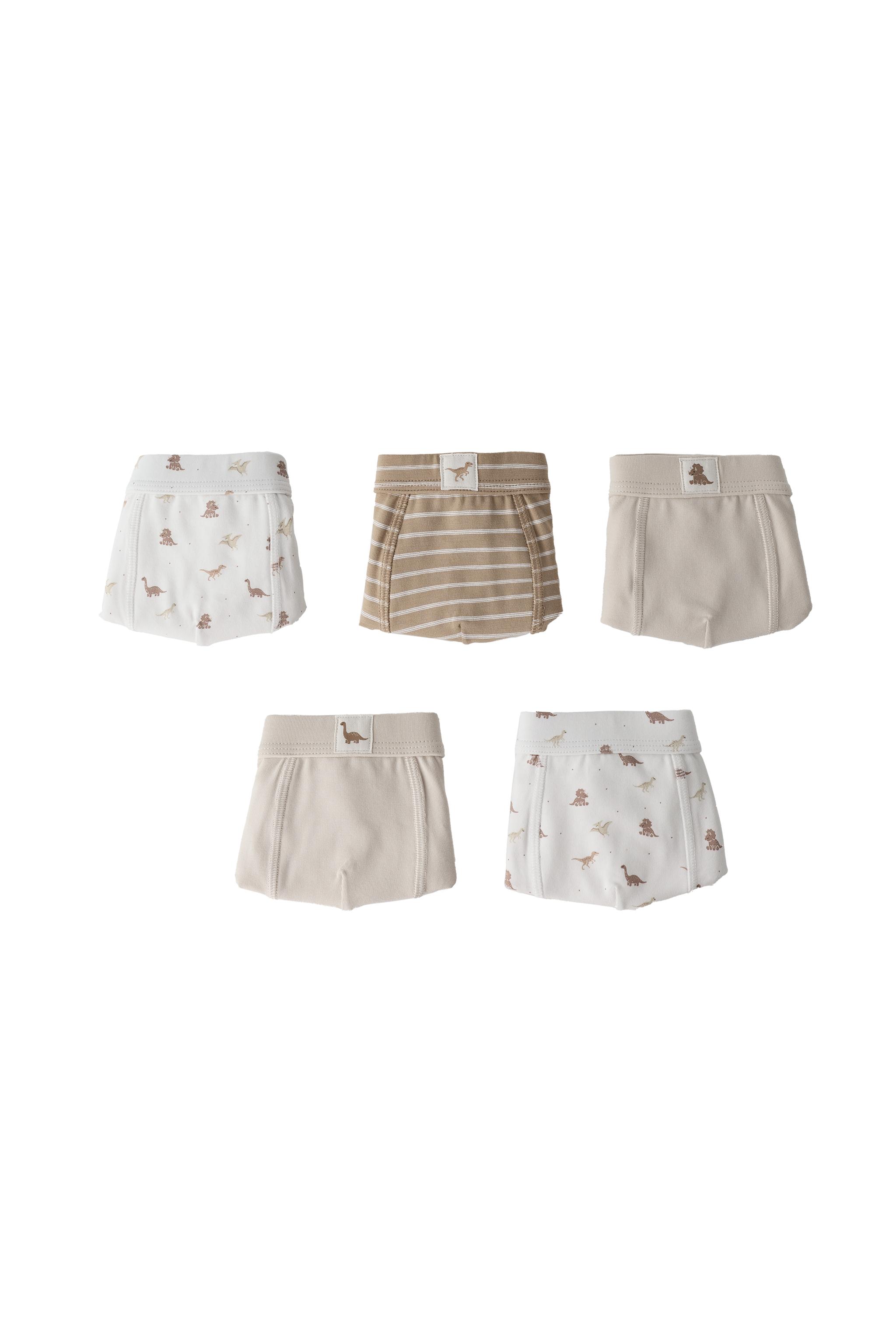 Набор из 5 трусов с динозаврами для детей 2-6 лет — ZARA